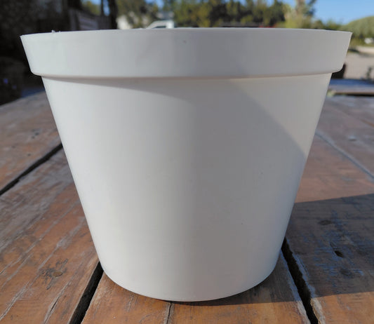 15cm Plastic Pot