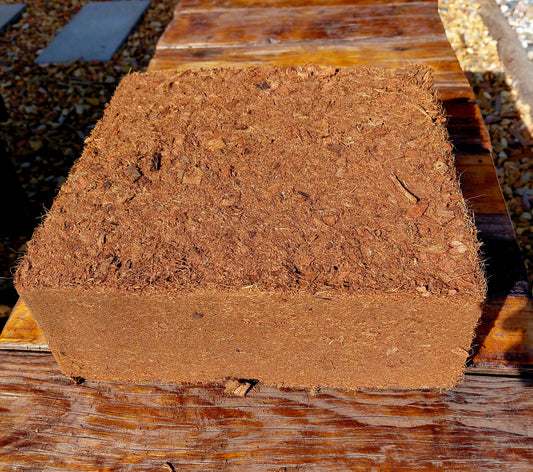 5kg Coco Coir Block Washed