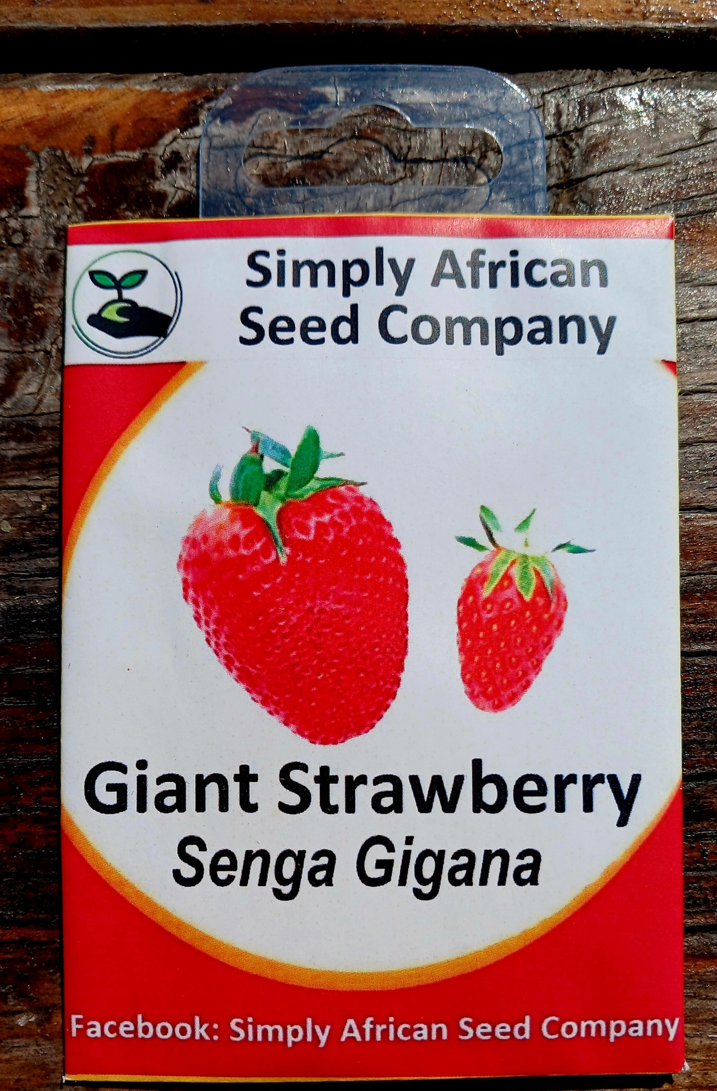 Giant Strawberry Segna Gigana