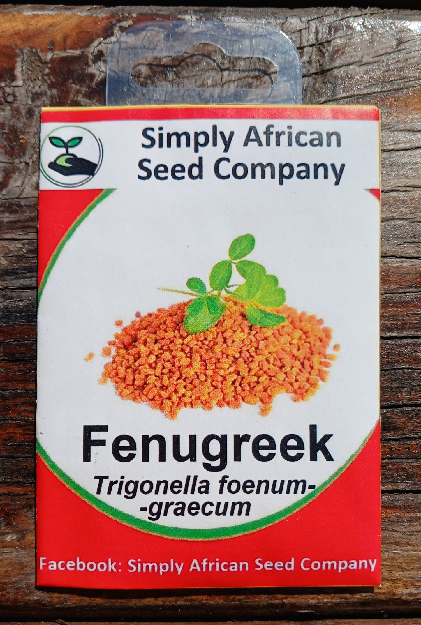 Fenugreek Trigonella foenumgraecum