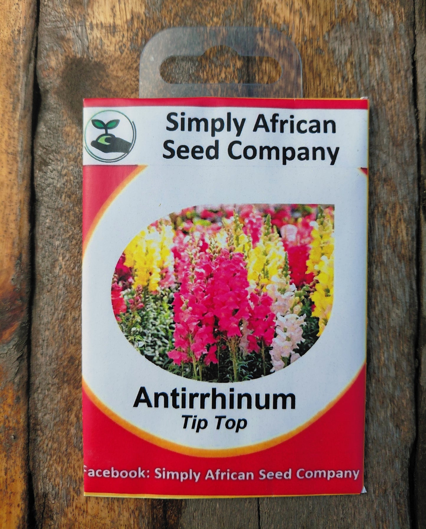 Antirrhinum Tip Top