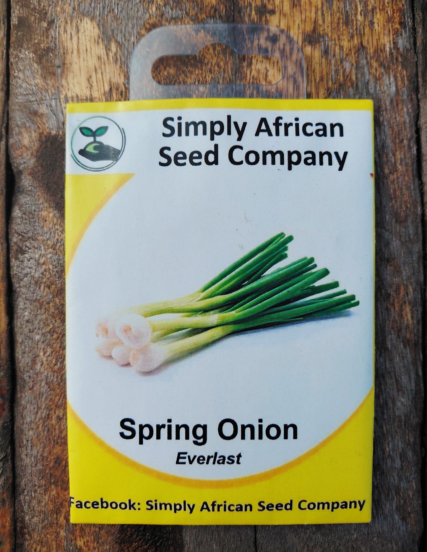 Spring Onion Everlast