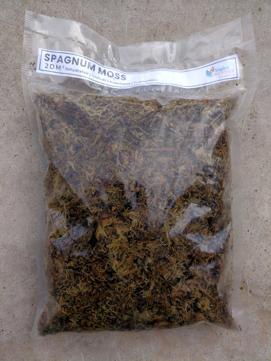 Sphagnum Moss – 2dm³