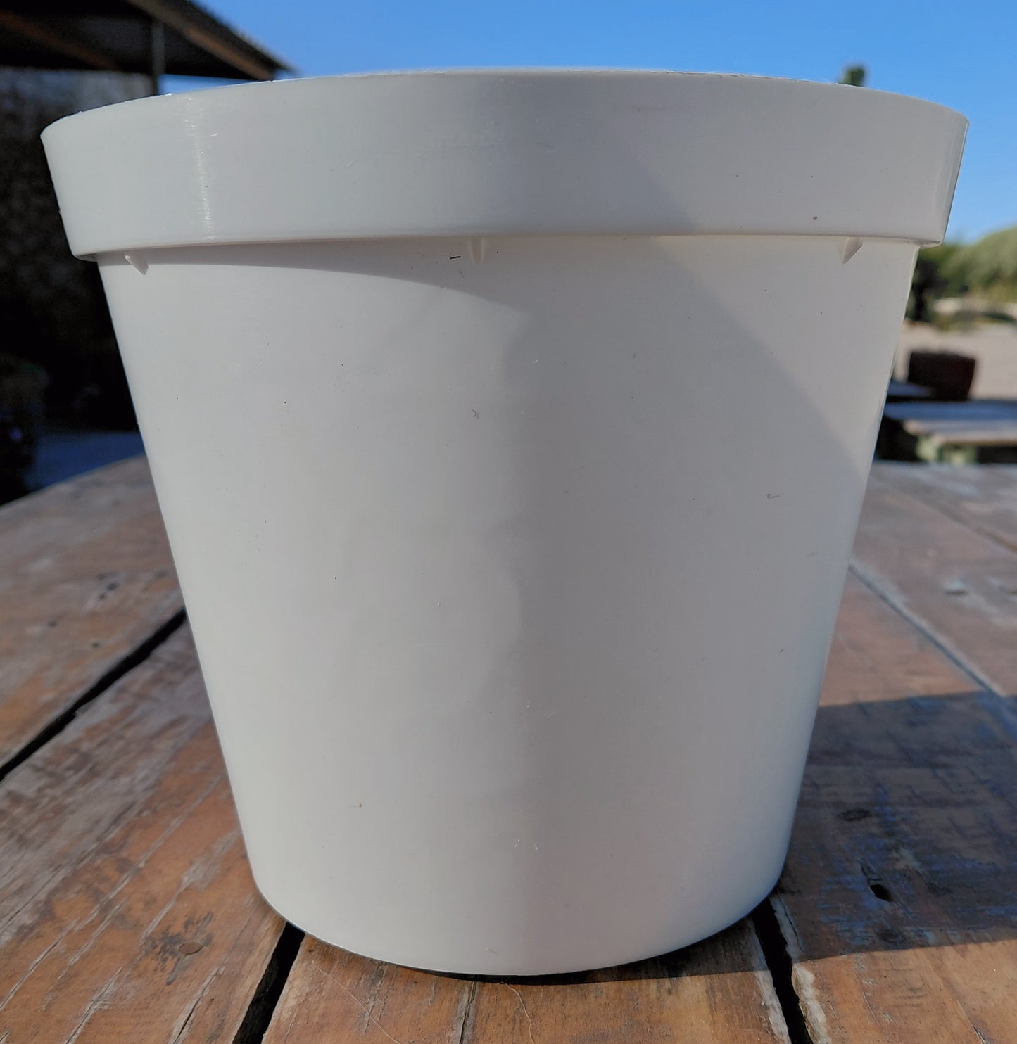20cm Plastic Pot