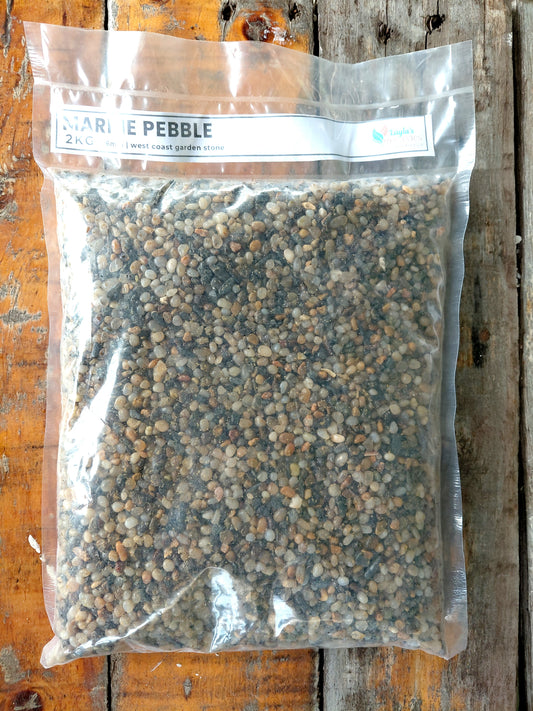 6mm Marine Pebble 2kg | West Coast Pebble