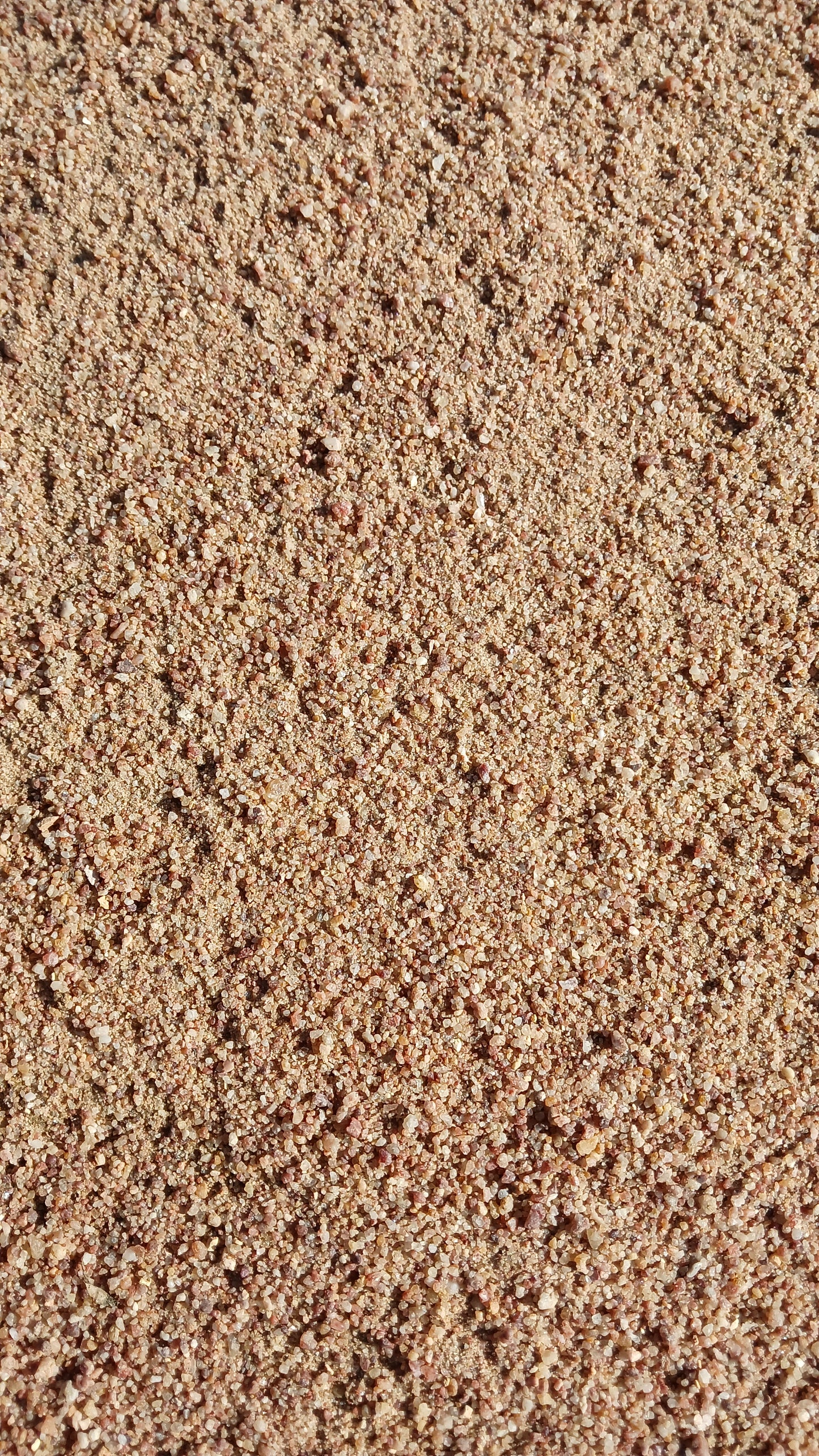 Building Sand 20dm³