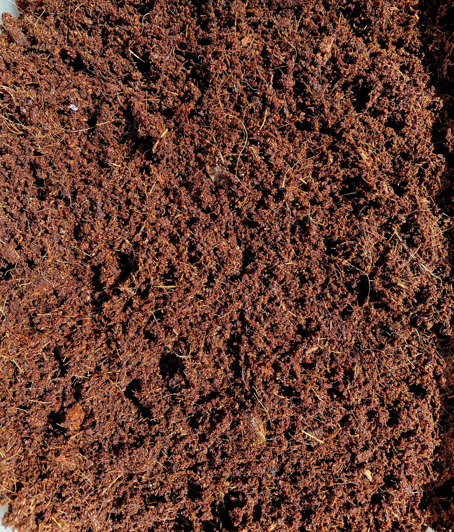 5kg Coco Coir Block Washed