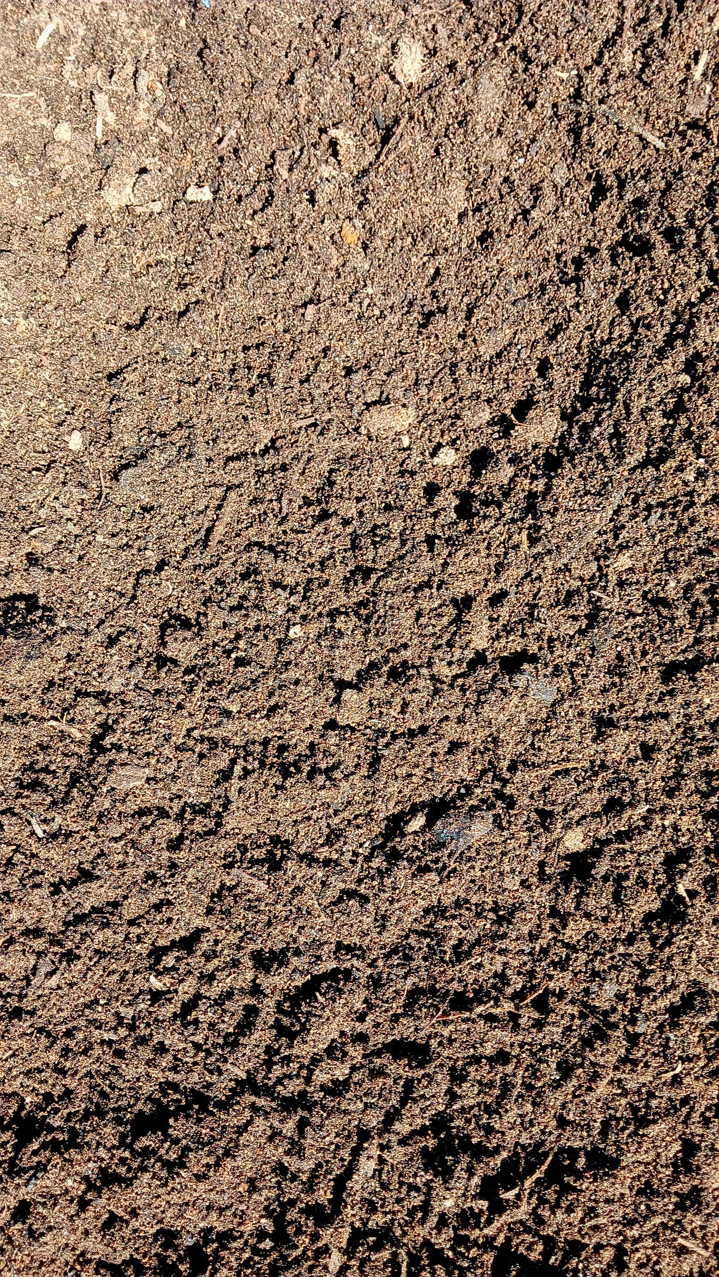 Compost