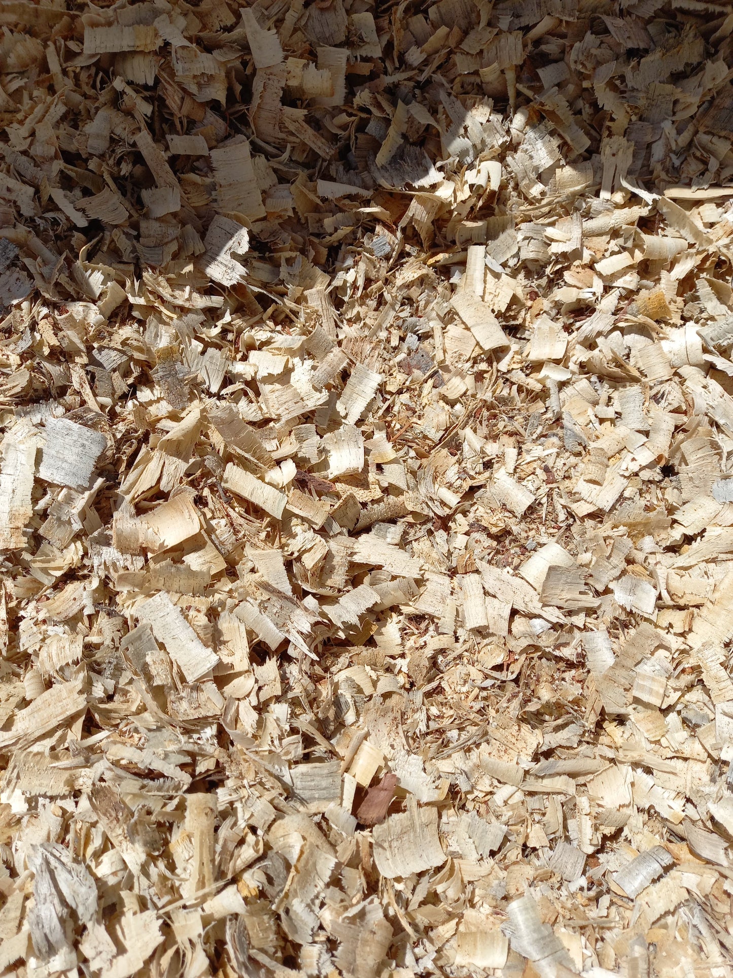 140L Wood Shavings