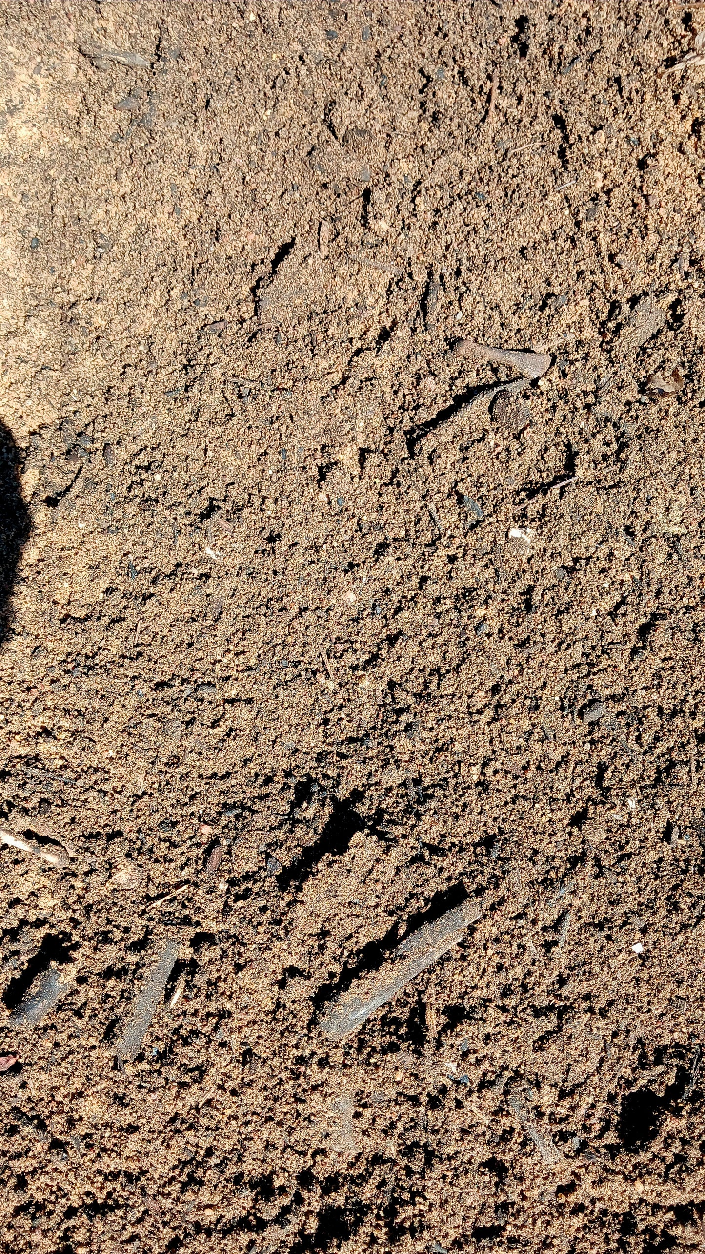 Enriched Topsoil