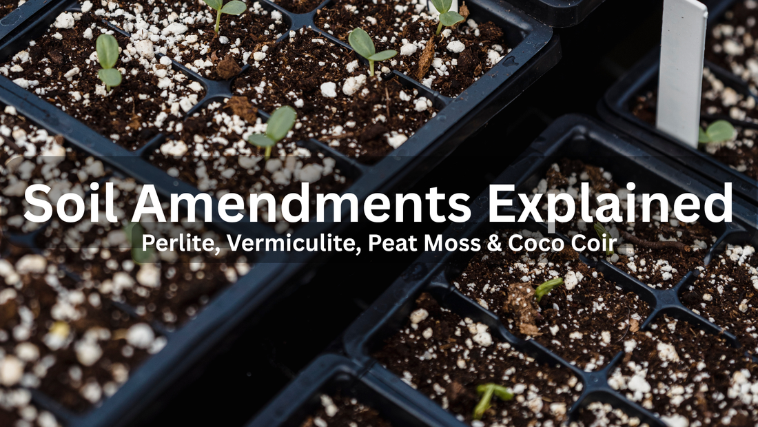 Soil Amendments Explained: Perlite, Vermiculite, Peat Moss & Coco Coir