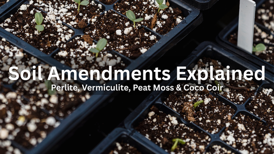 Soil Amendments Explained: Perlite, Vermiculite, Peat Moss & Coco Coir