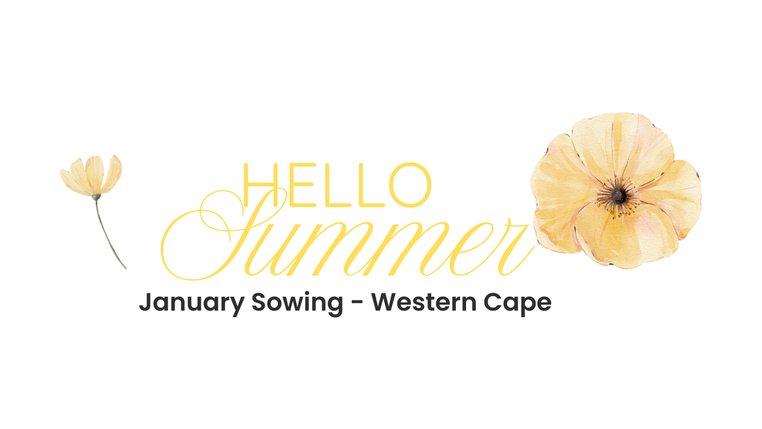 January Sowing Guide