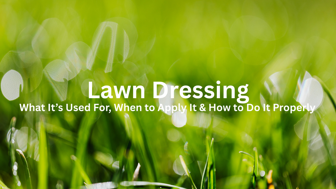 Transform Your Lawn with Lawn Dressing