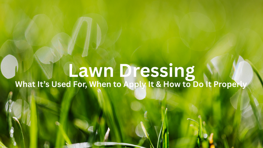 Transform Your Lawn with Lawn Dressing
