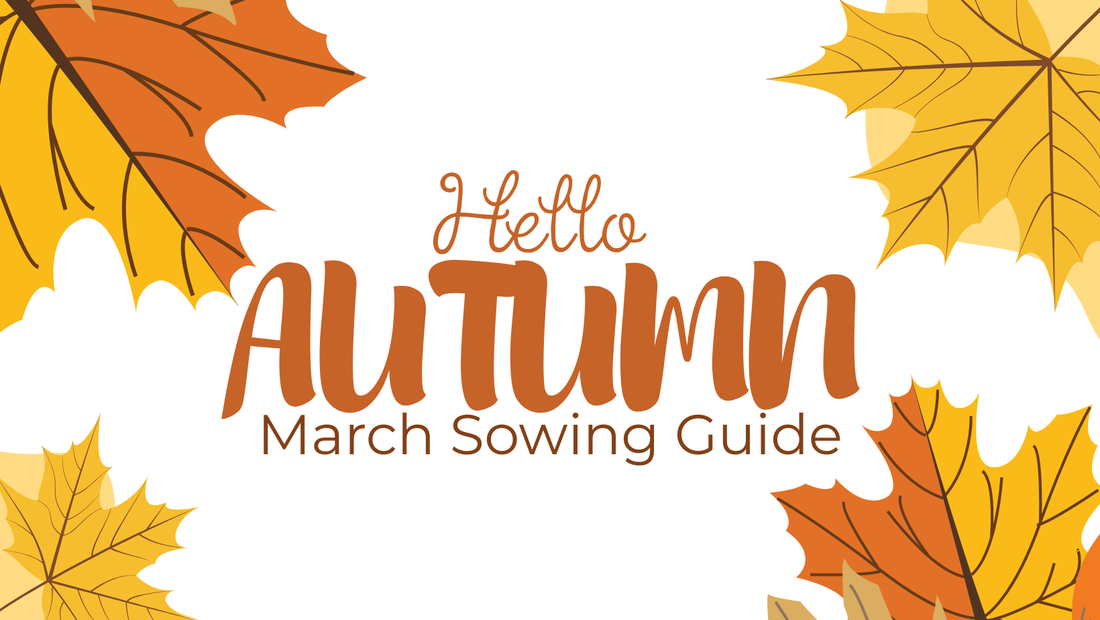 March Sowing Guide for the Western Cape