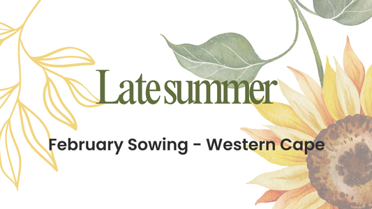 February Sowing Guide