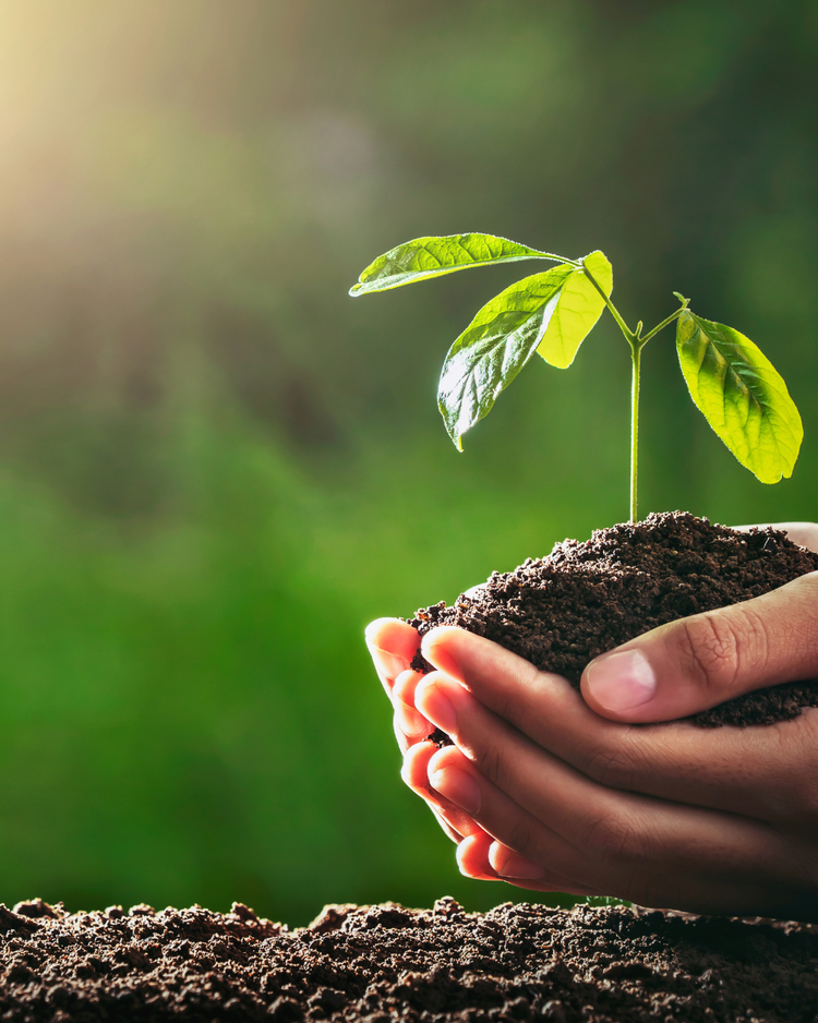 Compost & Garden Soil Mixes