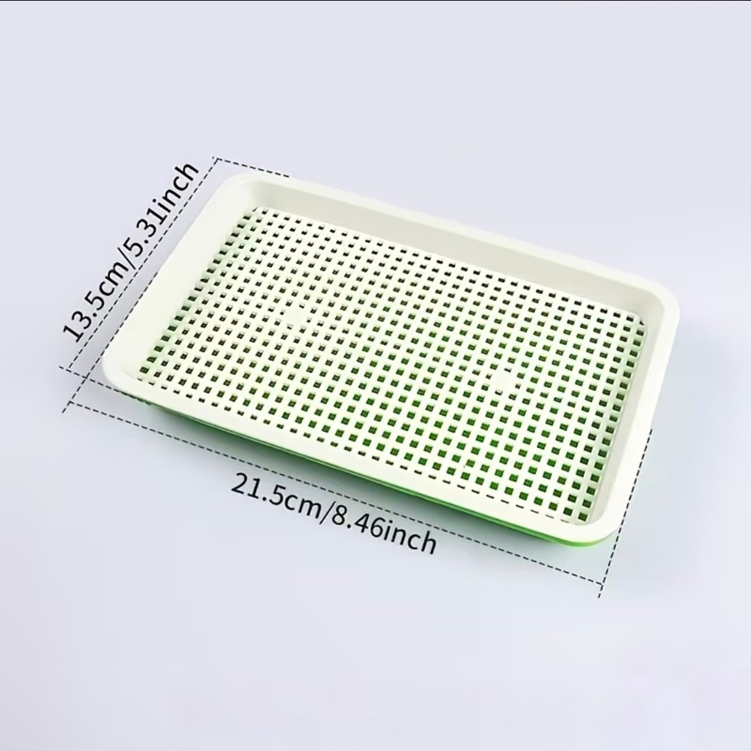 Microgreen Growing Tray with Drainage Grid – 21.5cm × 13.5cm