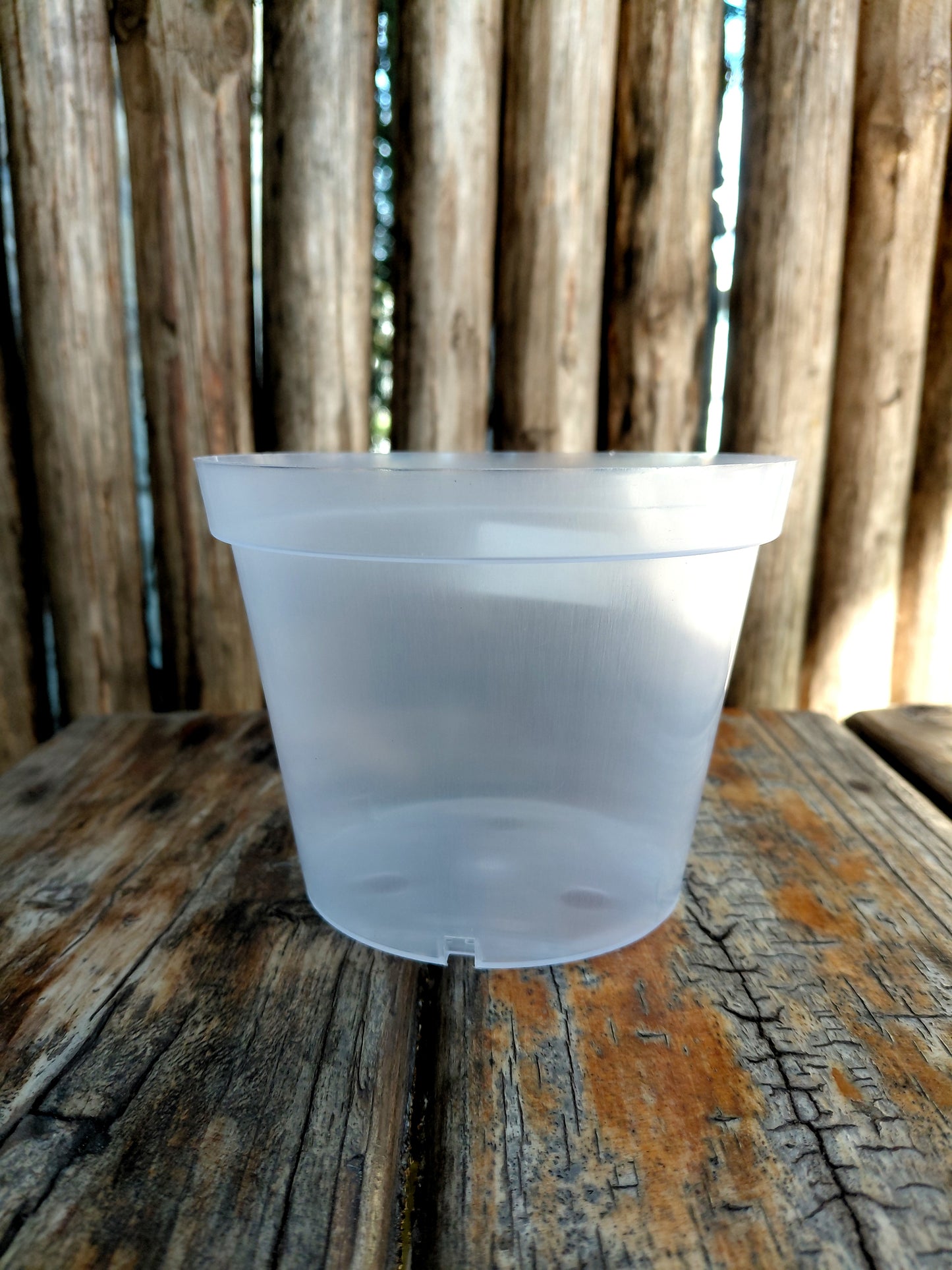12.5cm Clear Plastic Plant Pot – 795ml
