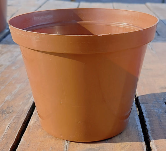 12cm Plastic Pot