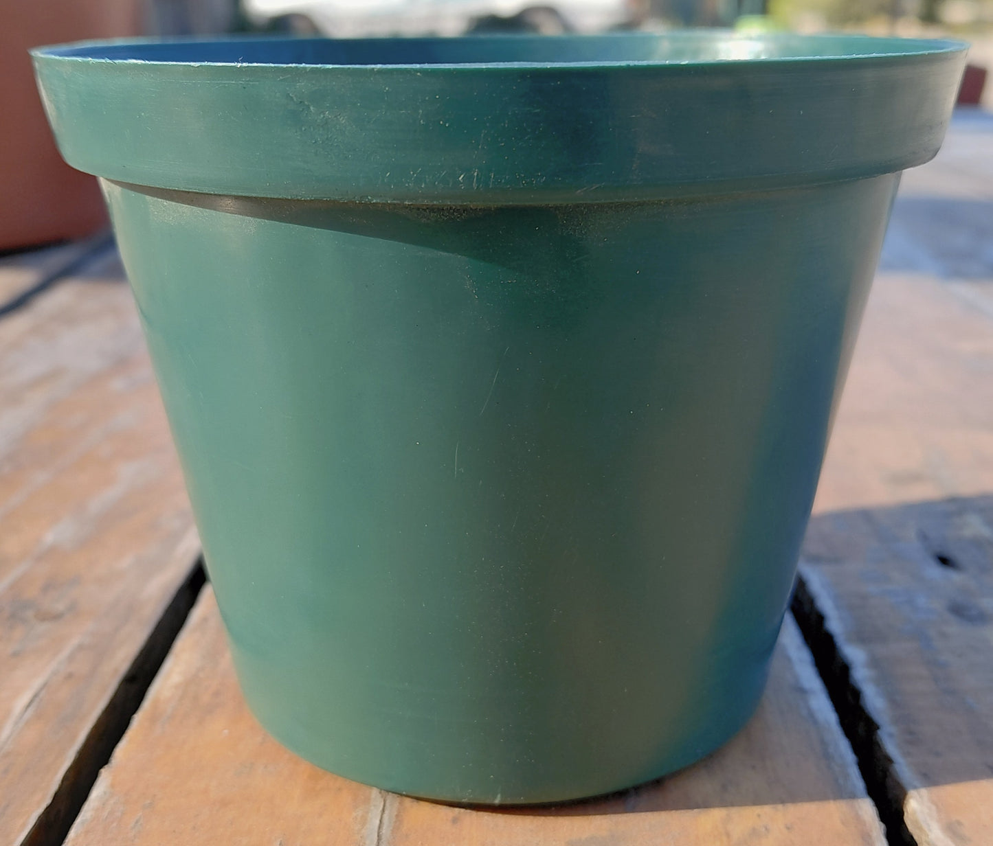 12cm Plastic Pot