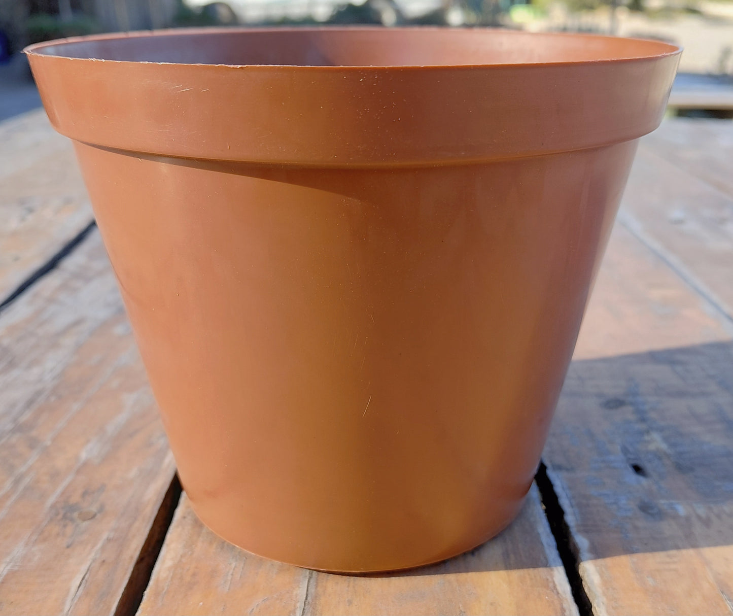 15cm Plastic Pot