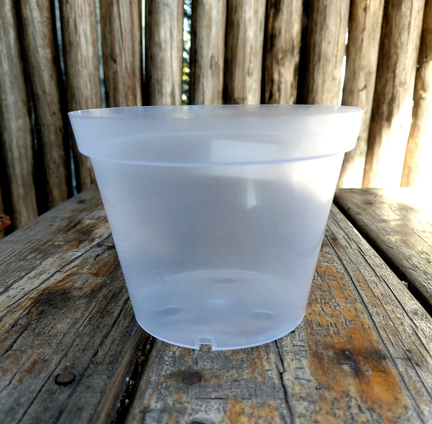 15cm Clear Plastic Plant Pot – 1.5L