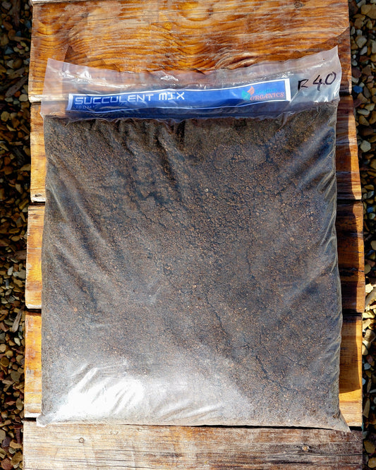 10dm³ Succulent Mix