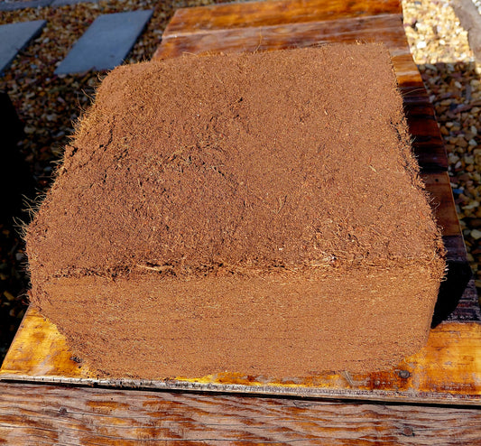 5kg Coco Coir Block Washed