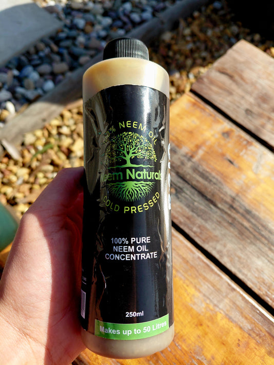 Pure Neem Oil Cold Pressed