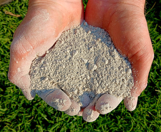 Diatomaceous Earth 1kg