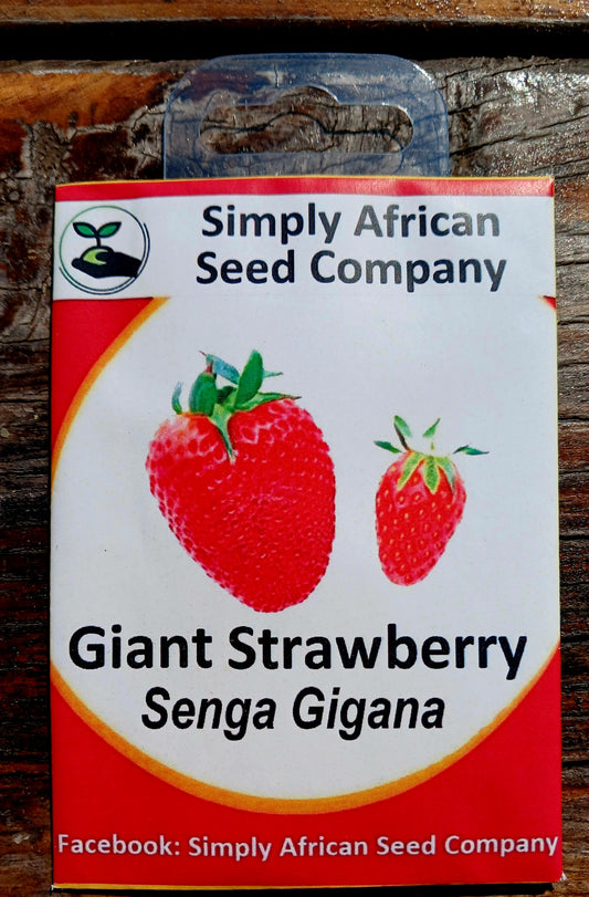 Giant Strawberry Segna Gigana