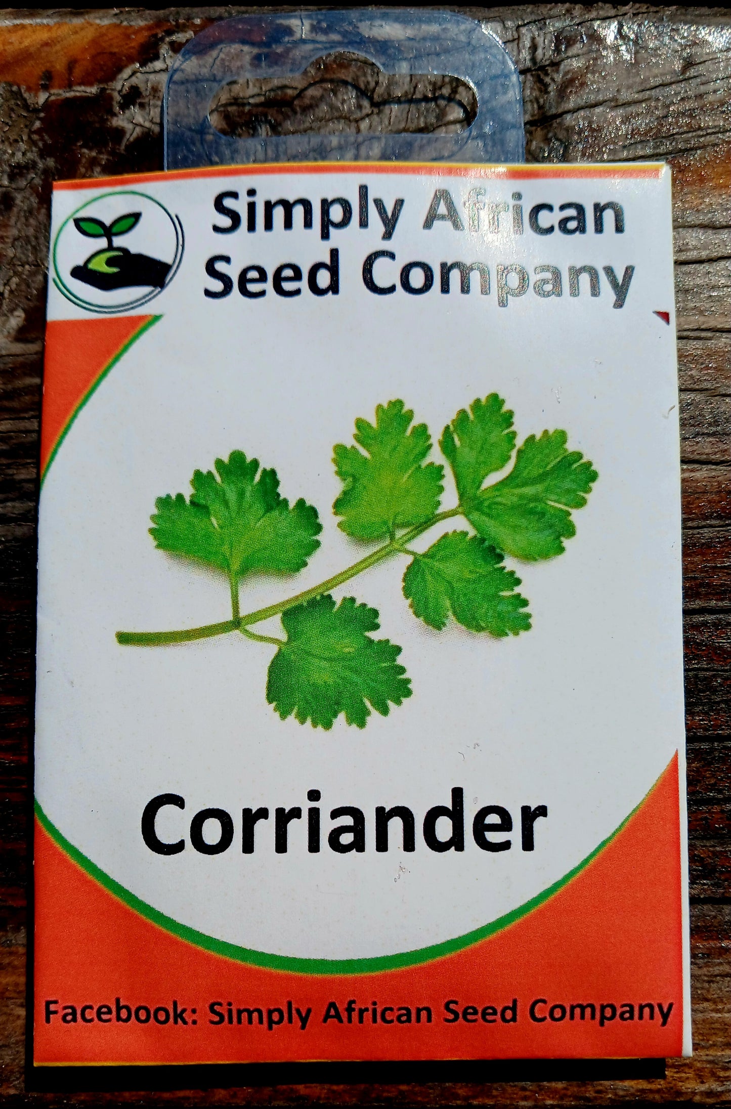 Coriander