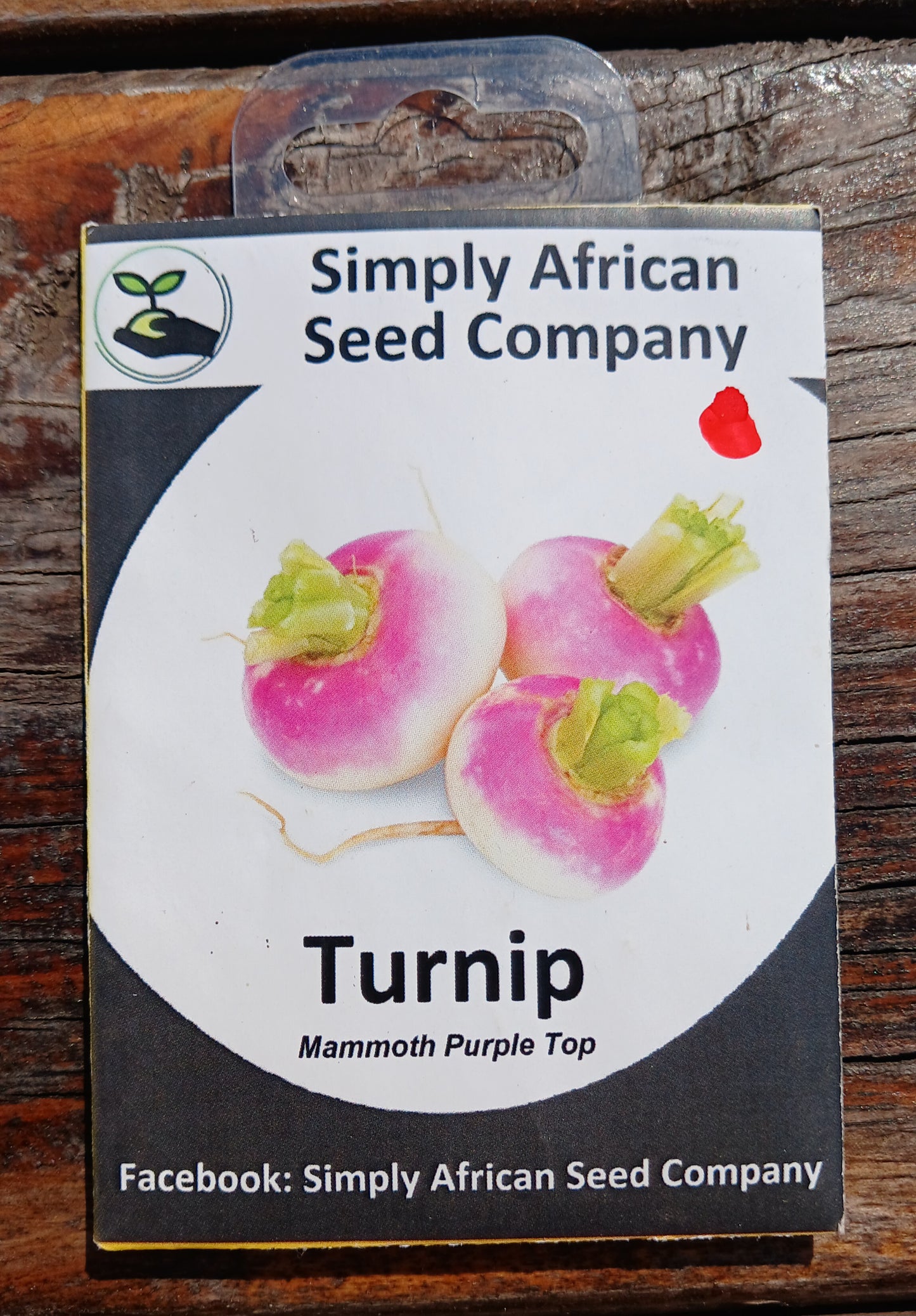 Turnip Mammoth Purple Top
