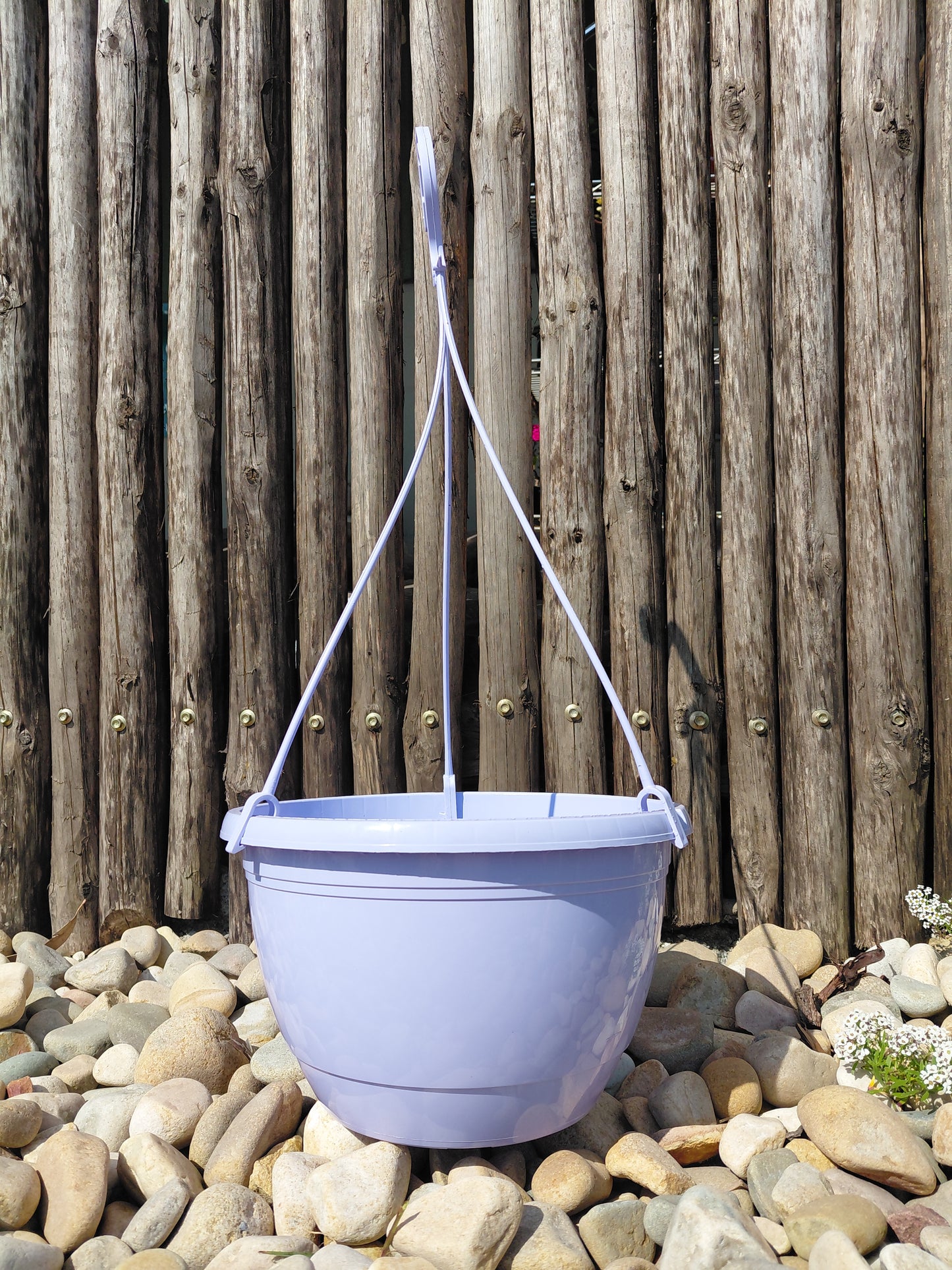 25Cm Emma Hanging Pot Plastic