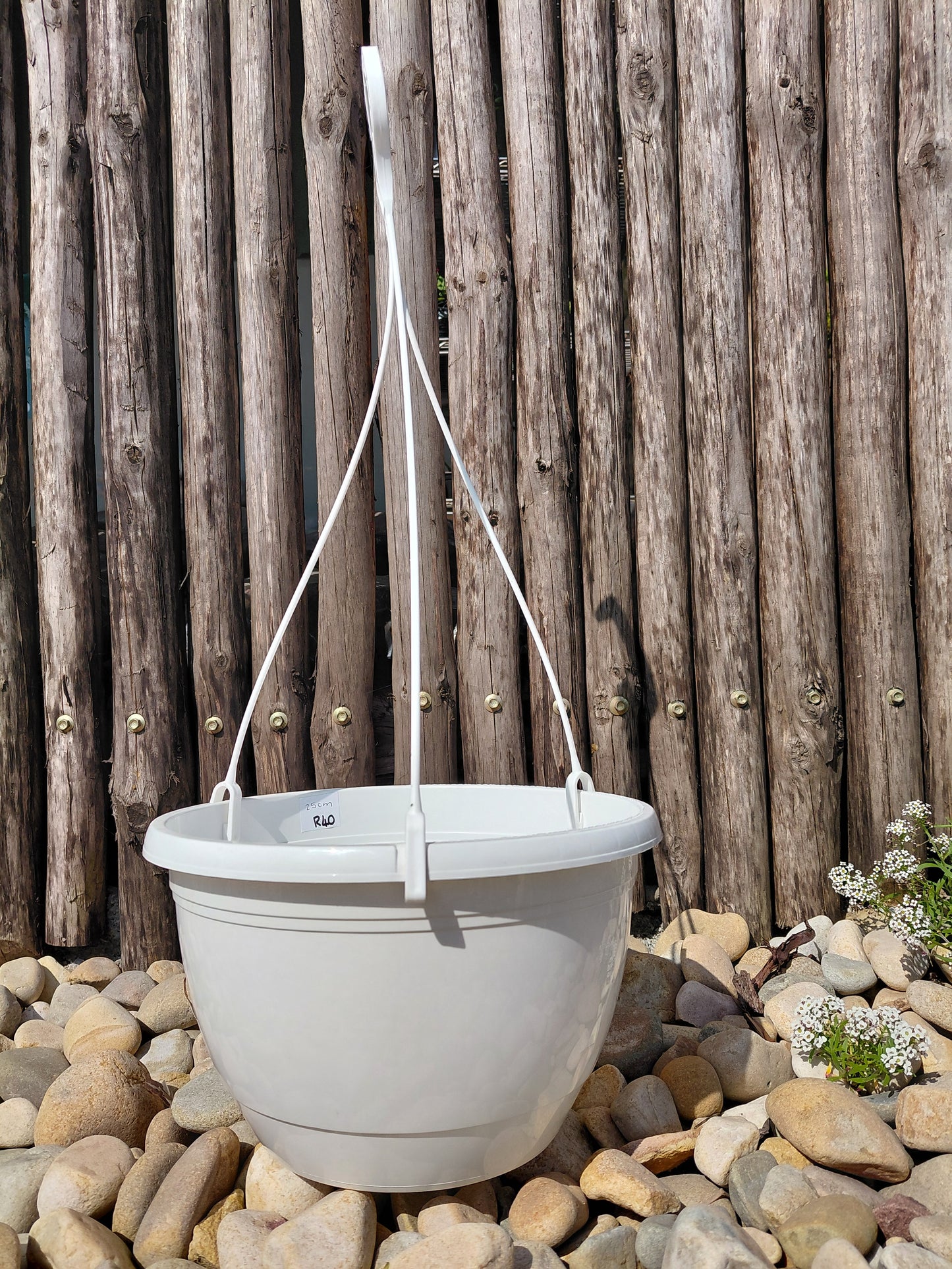 25Cm Emma Hanging Pot Plastic