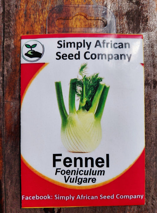 Fennel Foeniculum Vulgare