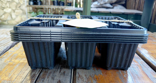 6 Cell Trays - 5 Pack