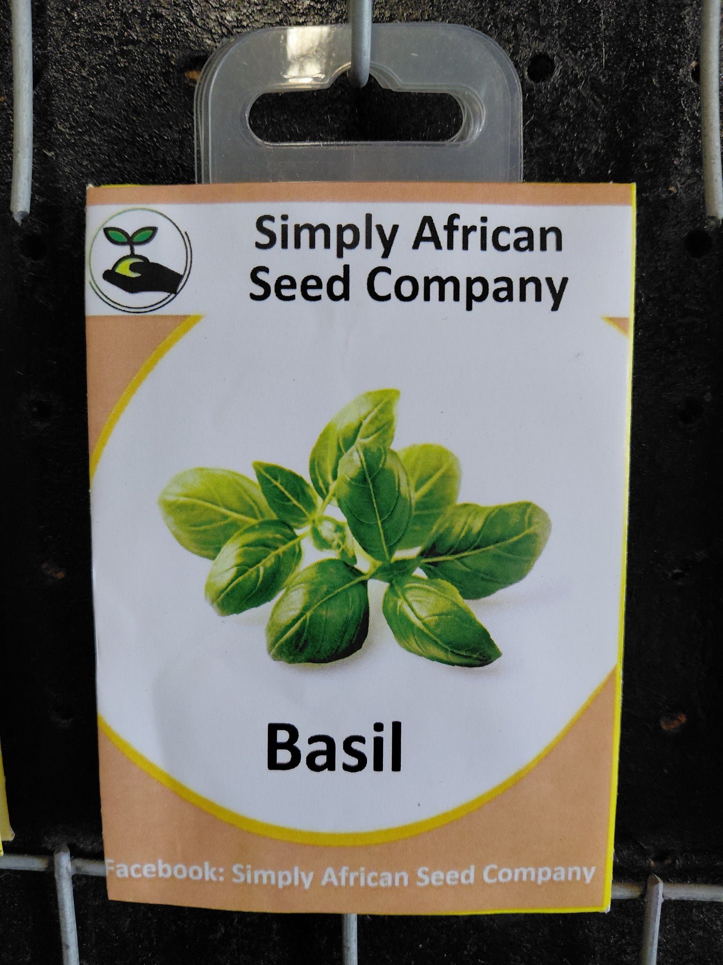 Basil