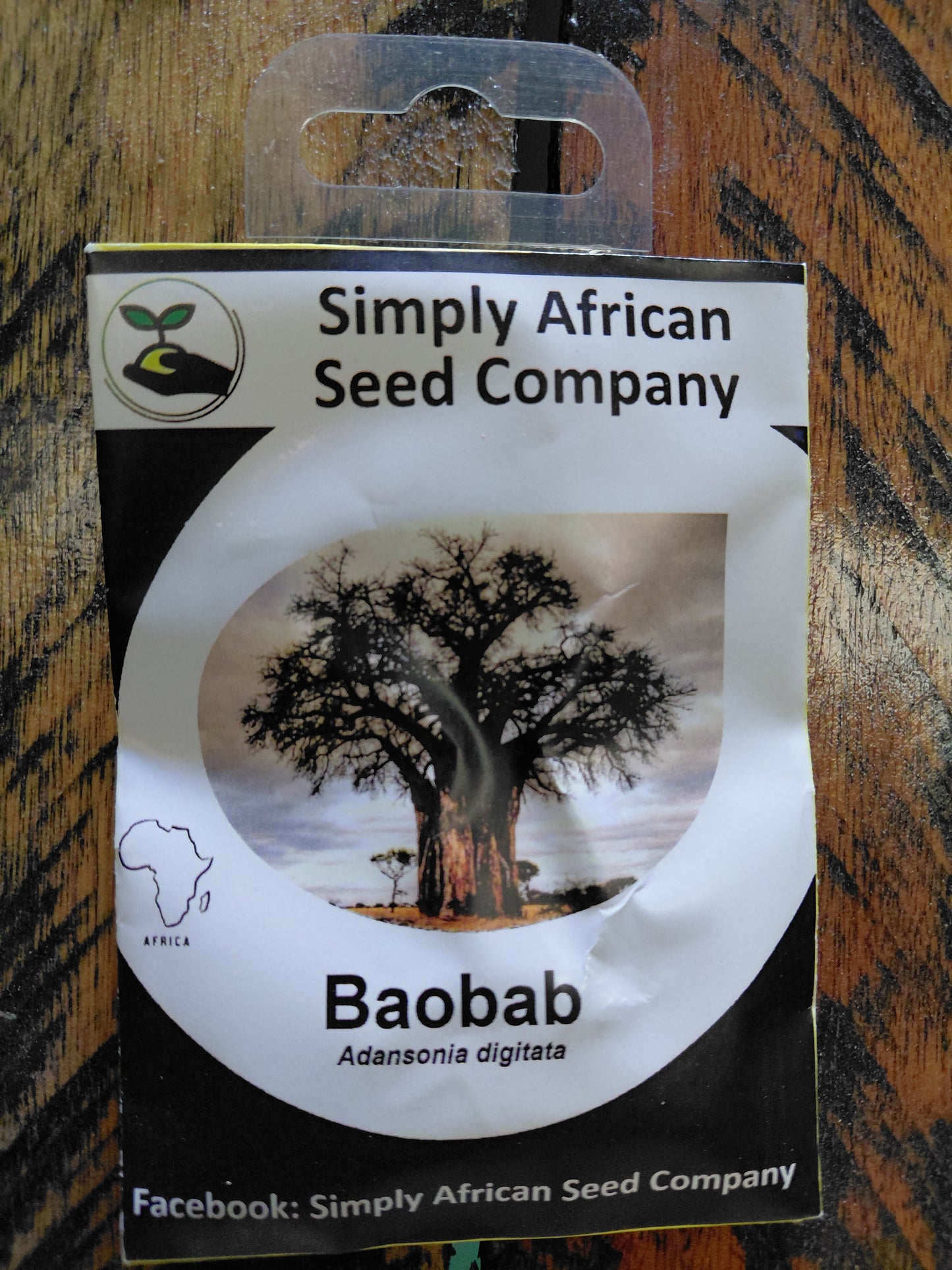 Baobab (Adansonia Digitata)