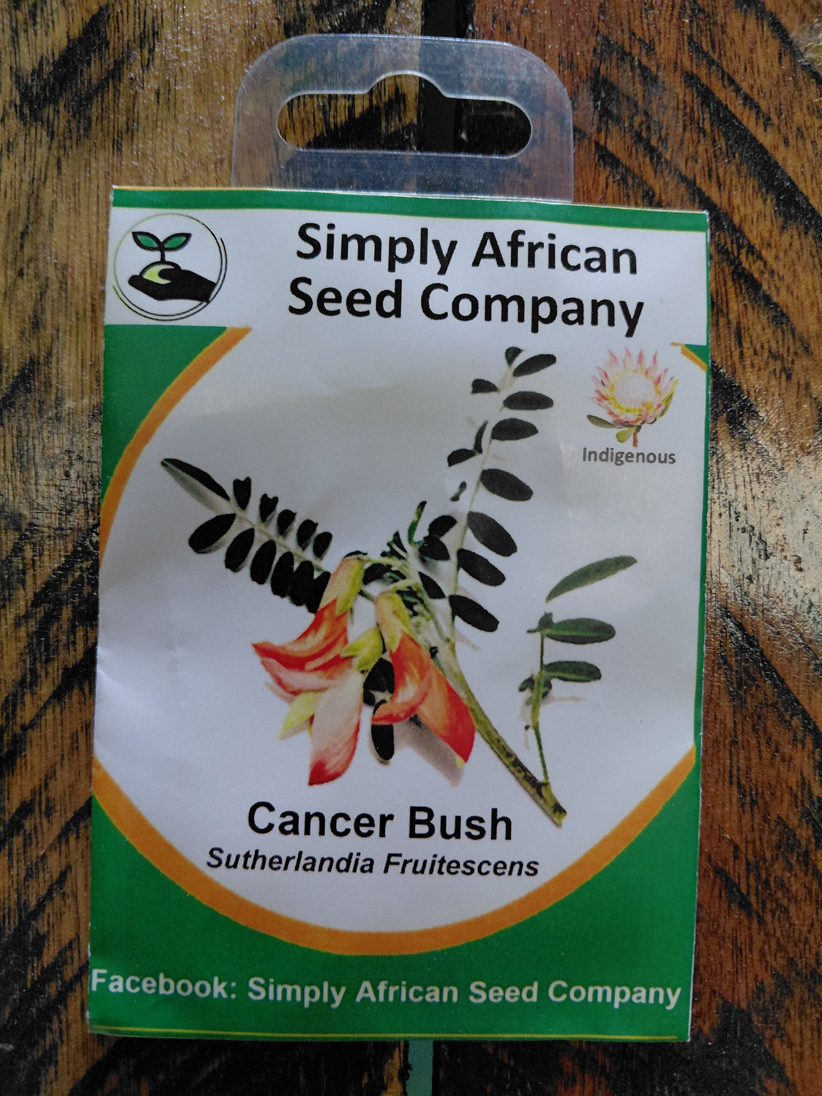 Cancer Bush (Sutherlandia Frutescens) – Layla's Organics