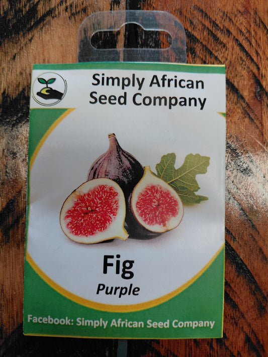 Fig Purple