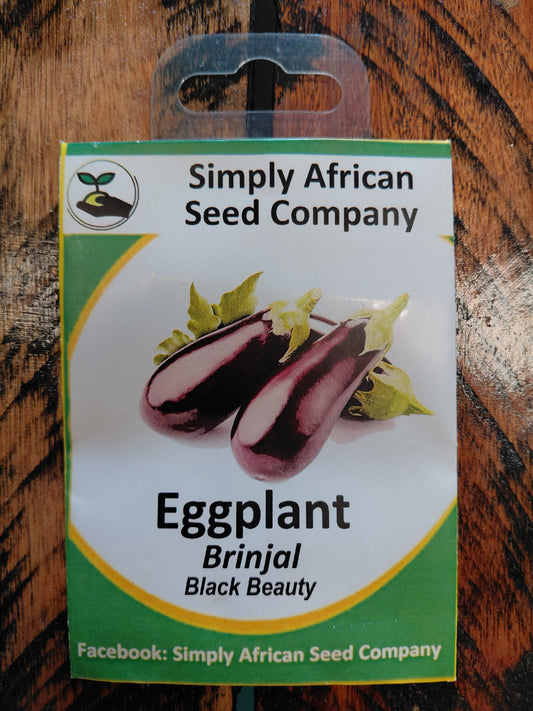 Eggplant Black Beauty