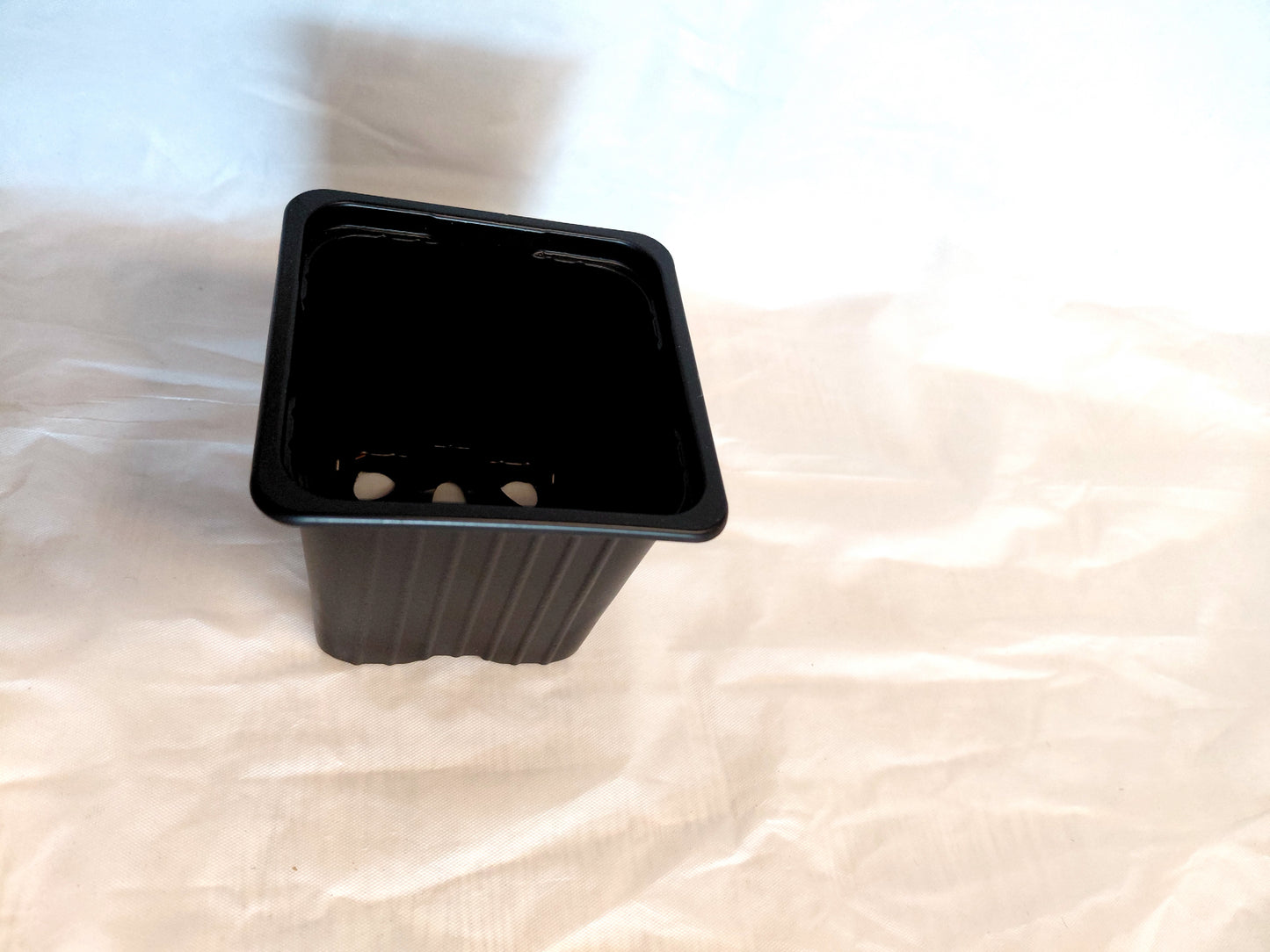 7cm Square Thermoformed Plastic Pots