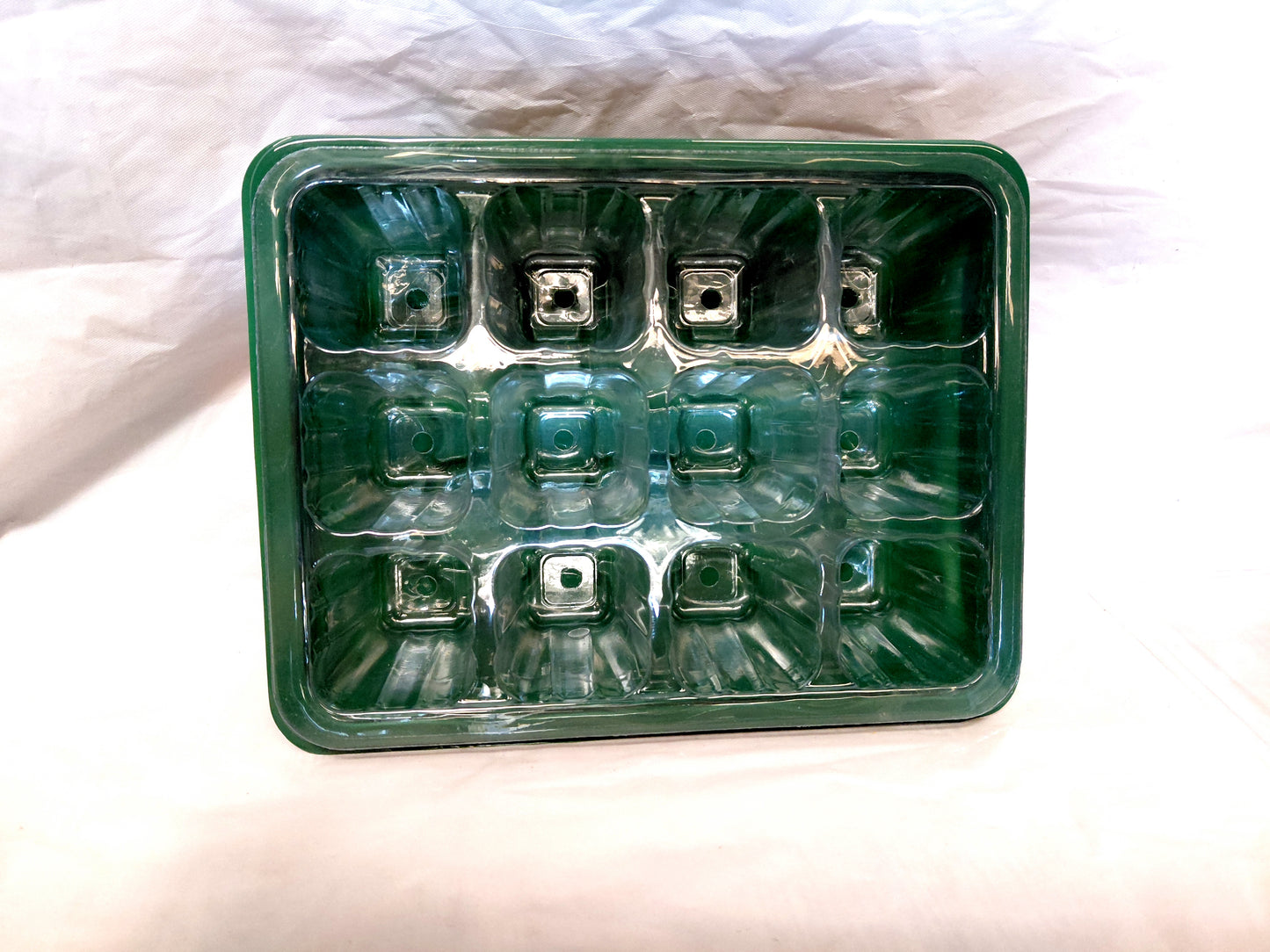 12 Cell Seed Tray with Dome