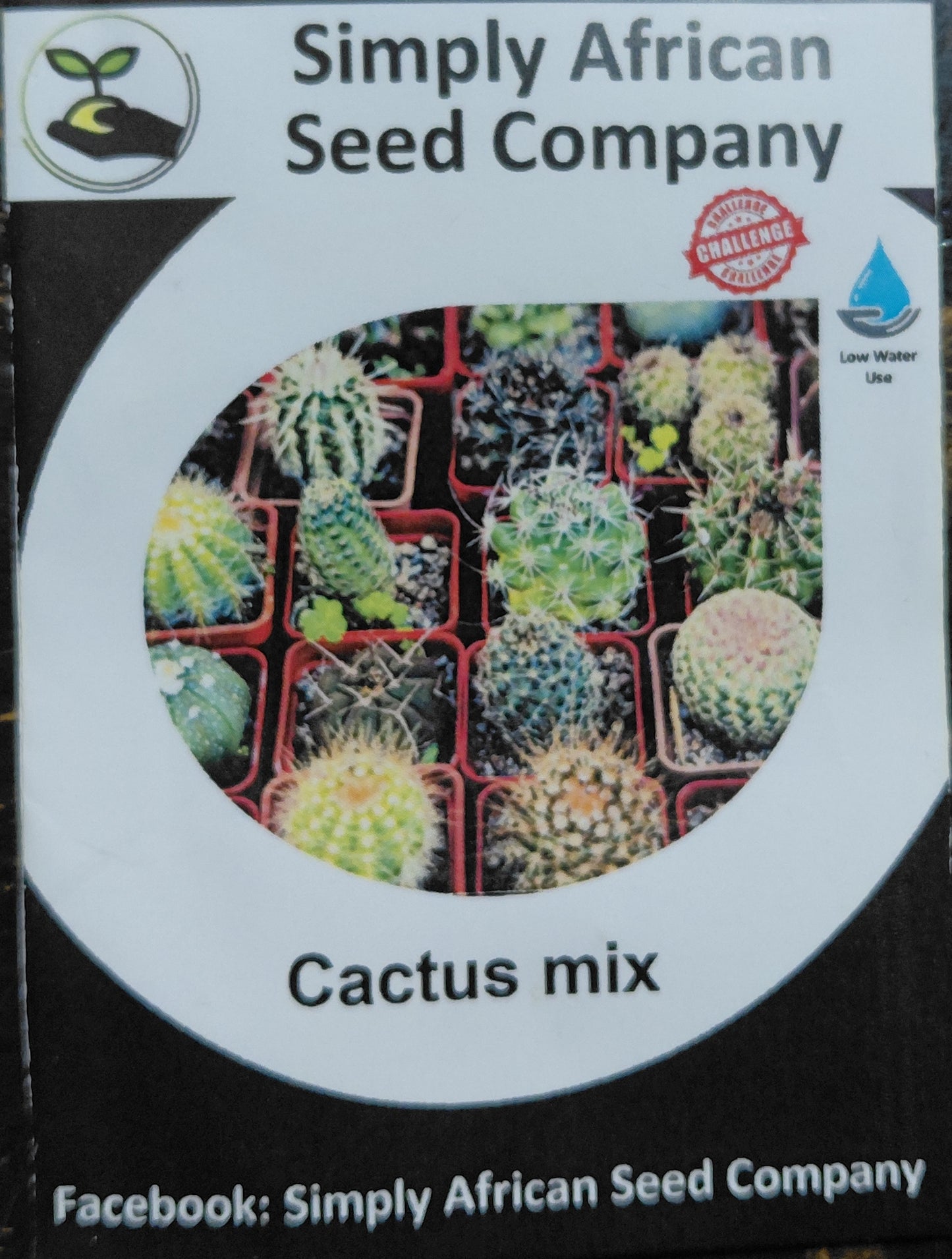 Cactus Mix | Seed