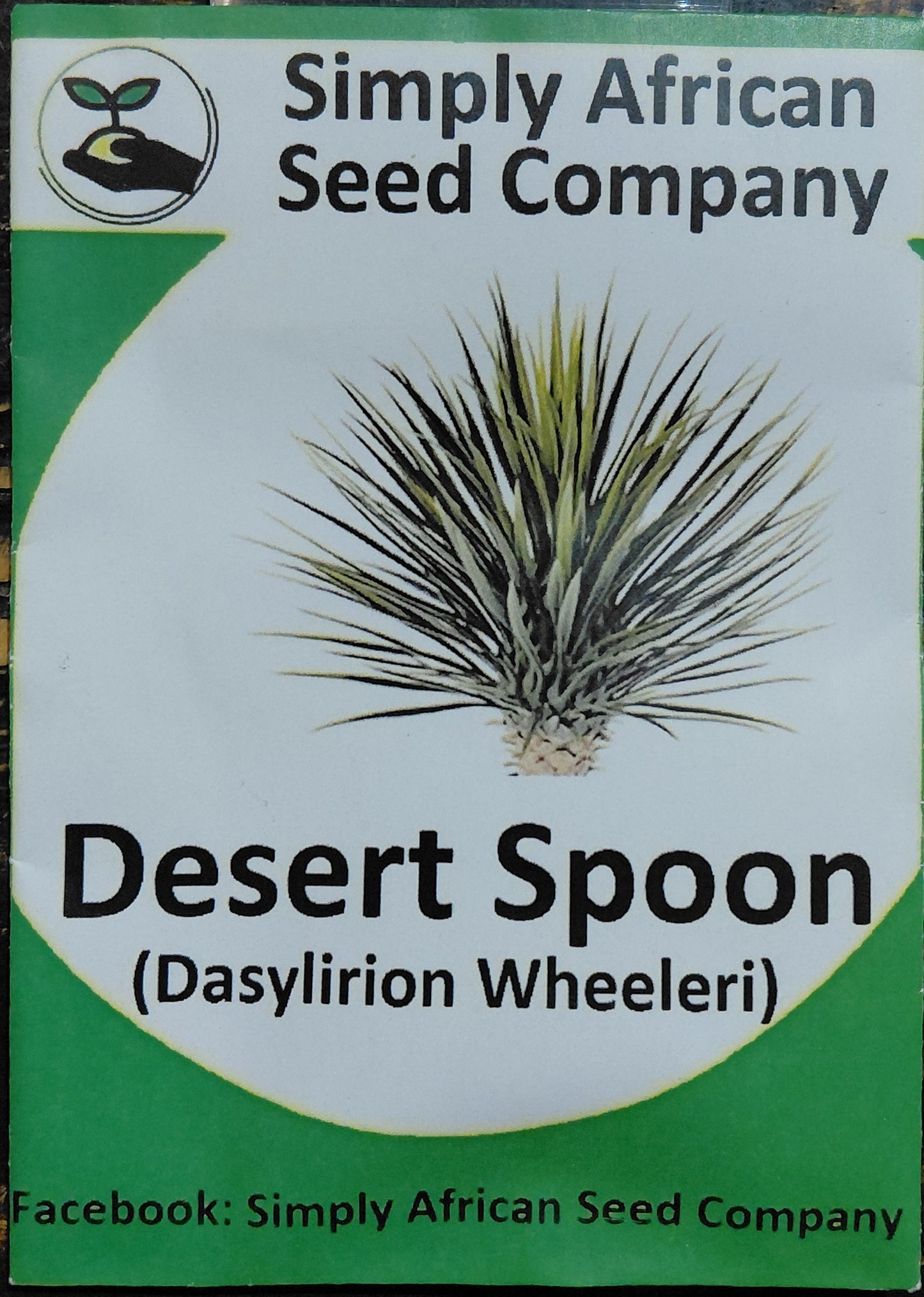 Palm Desert Spoon (Dasylirion Wheeleri) | Seed