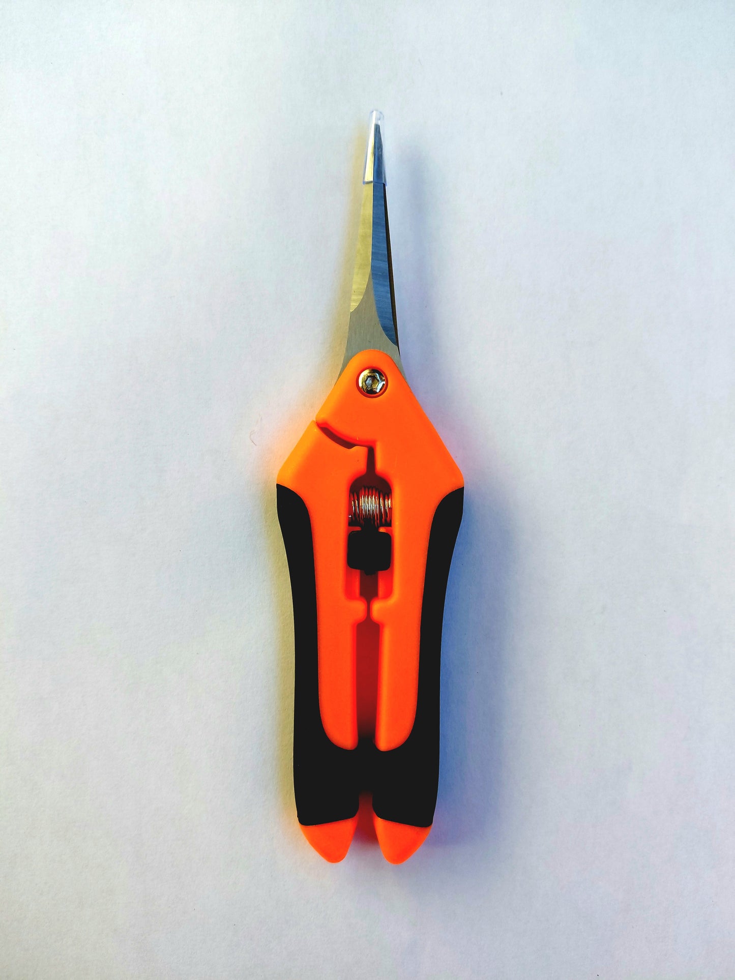 Micro-Tip Pruning Scissors – Stainless Steel
