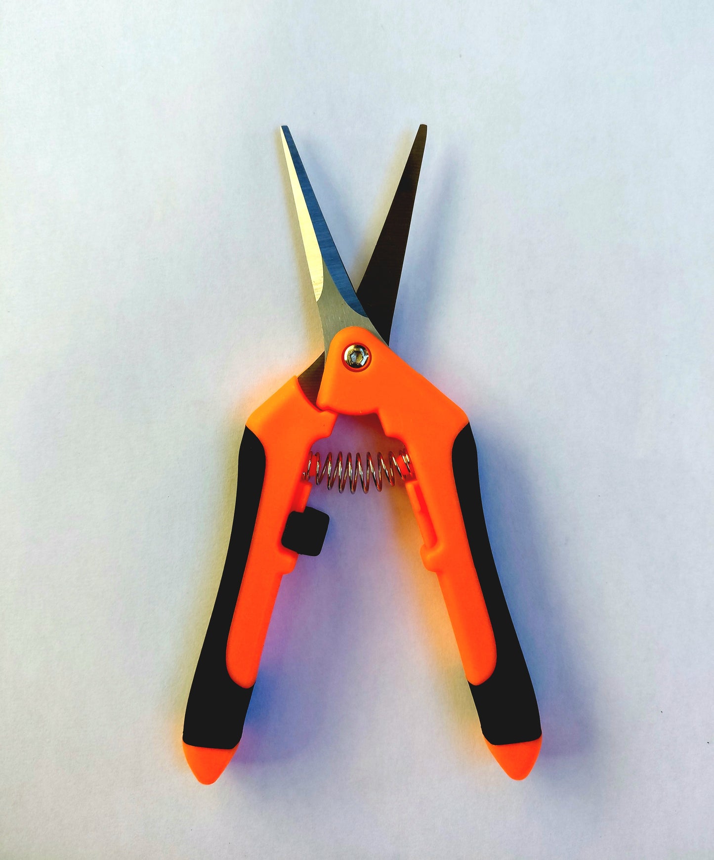 Micro-Tip Pruning Scissors – Stainless Steel